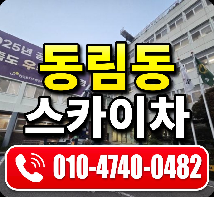 동림동 스카이차 010-4740-0482