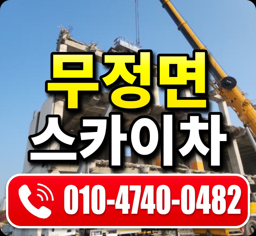 무정면 스카이차 010-4740-0482