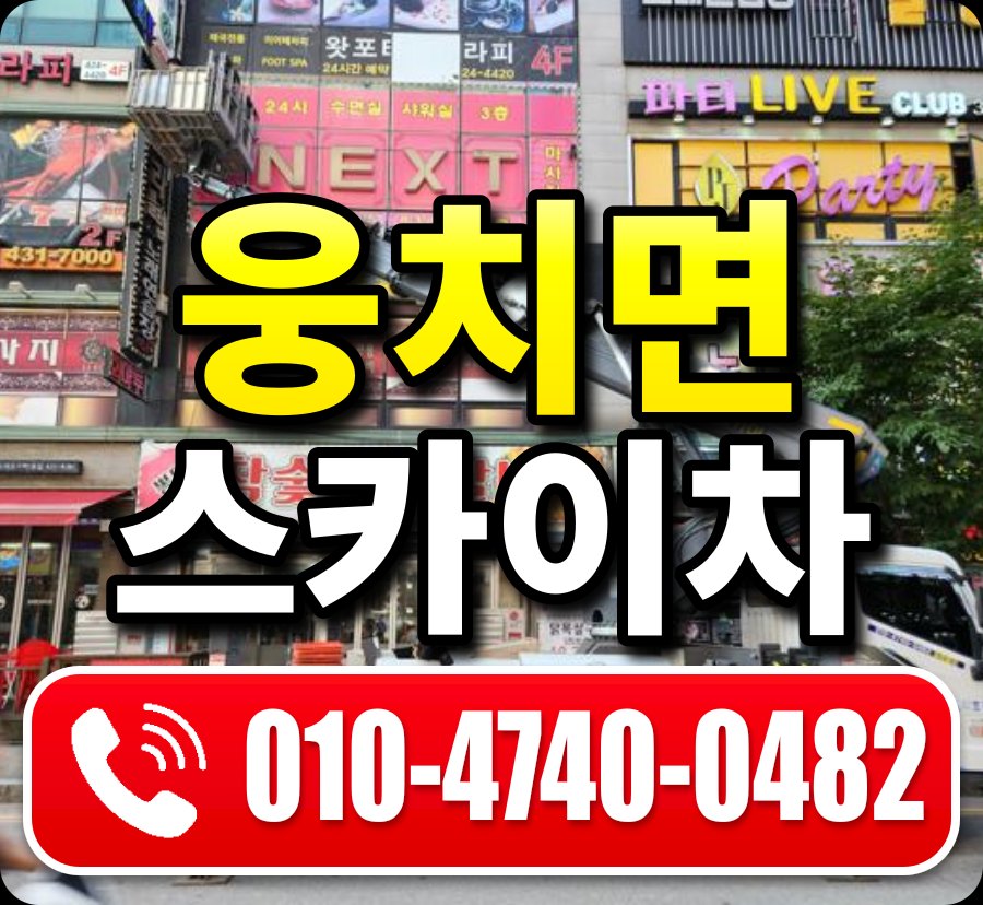 웅치면 스카이차 010-4740-0482