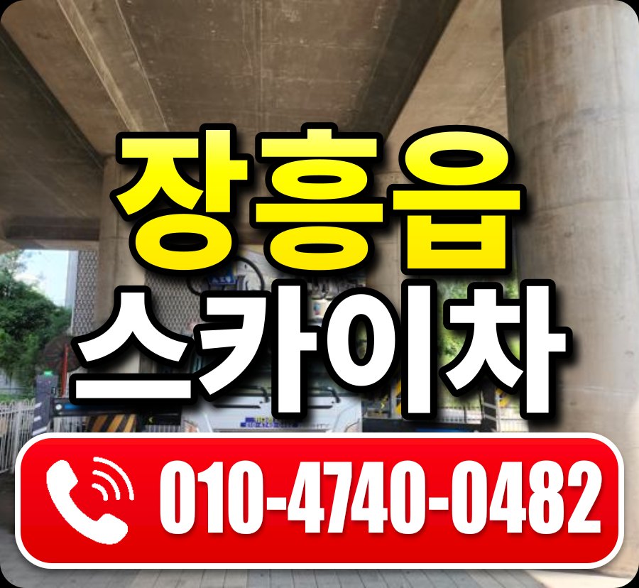 장흥읍 스카이차 010-4740-0482