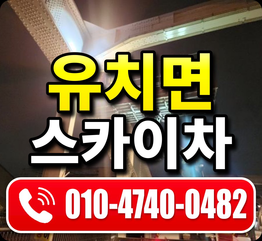 유치면 스카이차 010-4740-0482