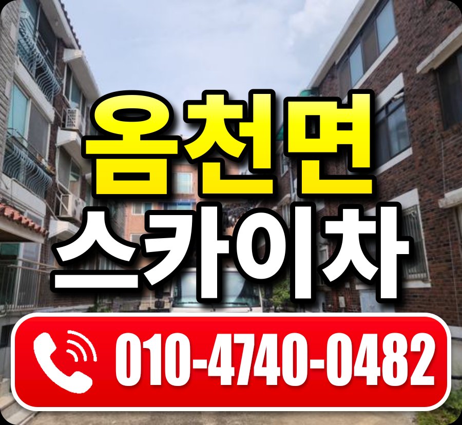 옴천면 스카이차 010-4740-0482