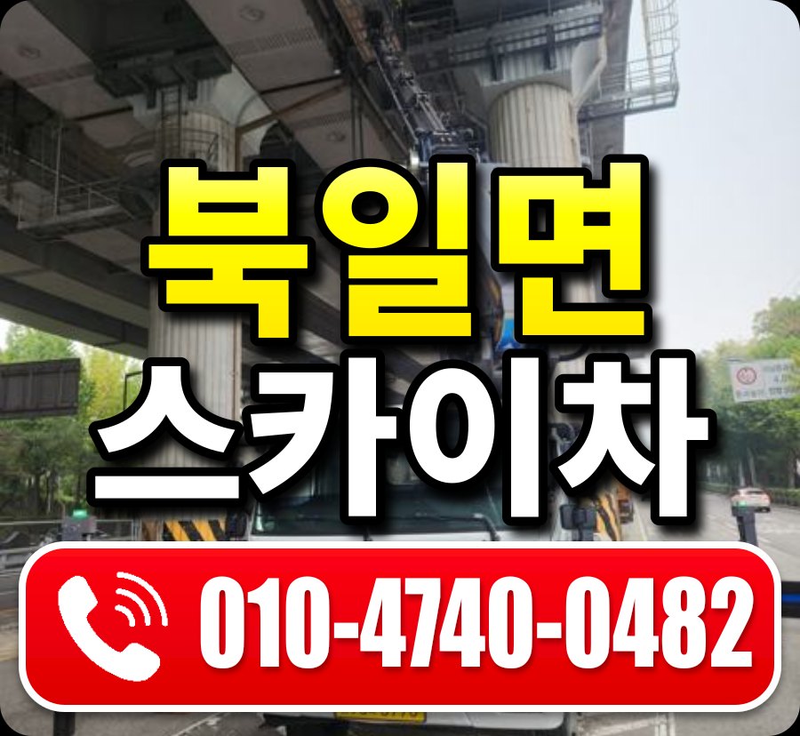 북일면 스카이차 010-4740-0482