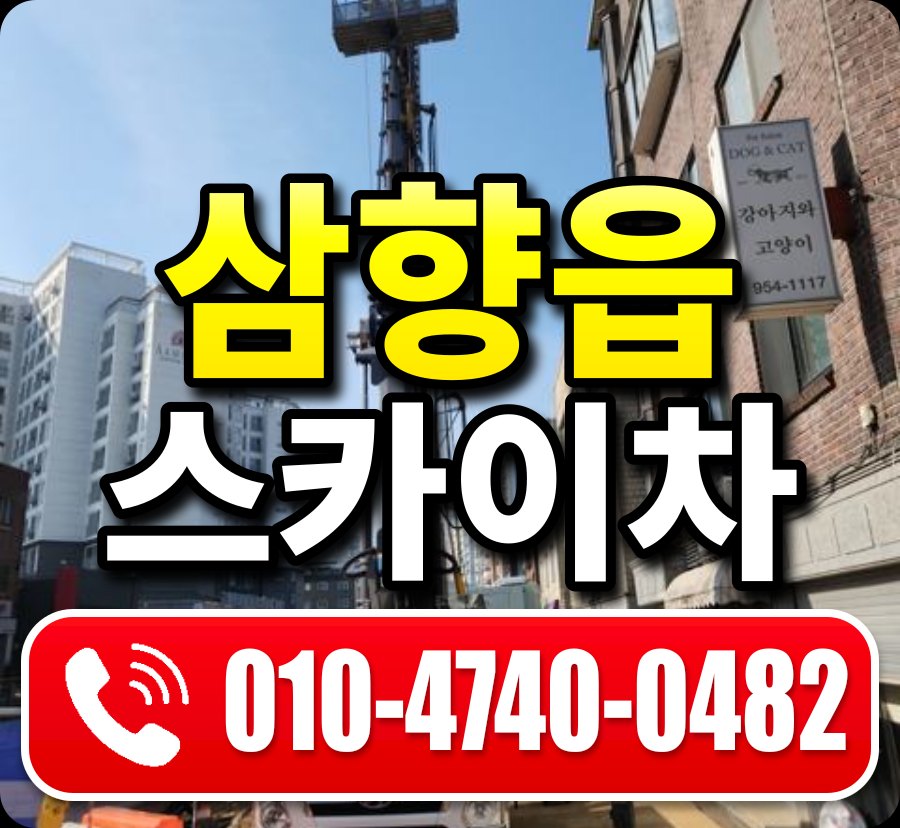 삼향읍 스카이차 010-4740-0482
