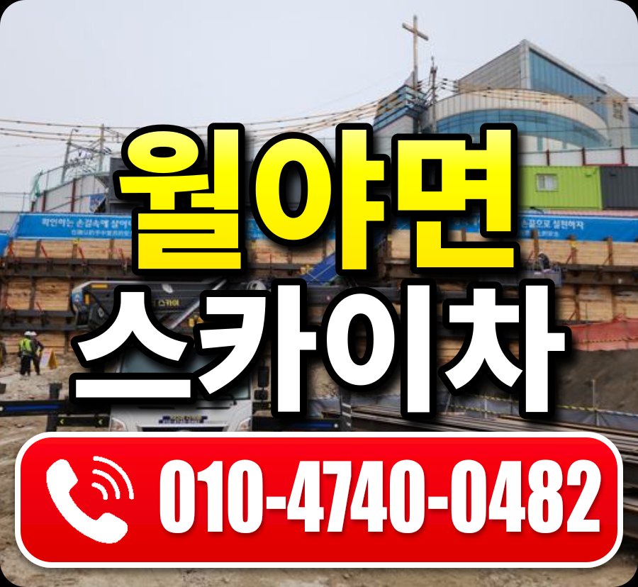 월야면 스카이차 010-4740-0482