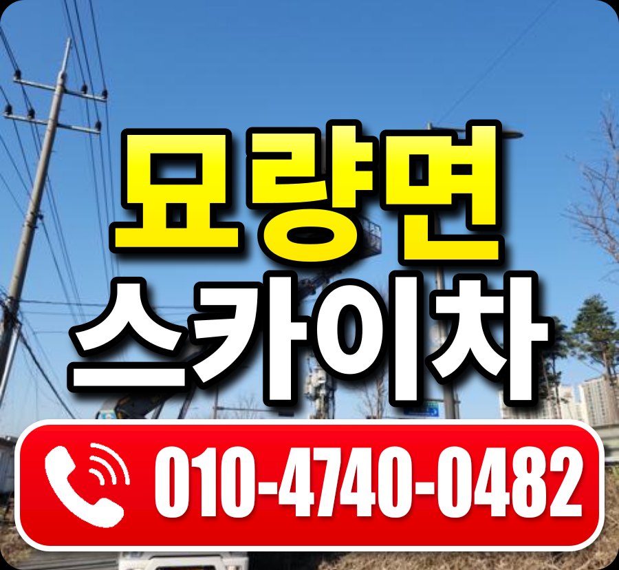 묘량면 스카이차 010-4740-0482