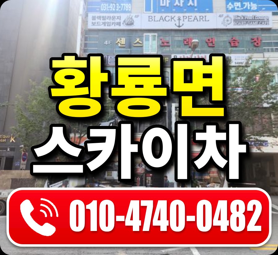 황룡면 스카이차 010-4740-0482