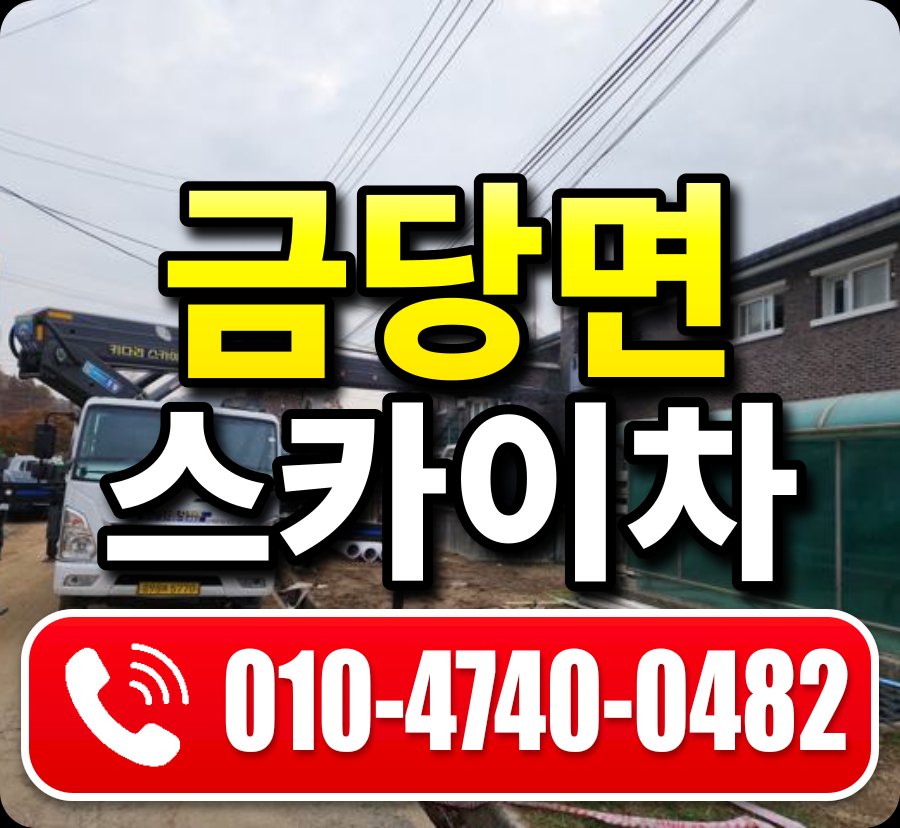 금당면 스카이차 010-4740-0482