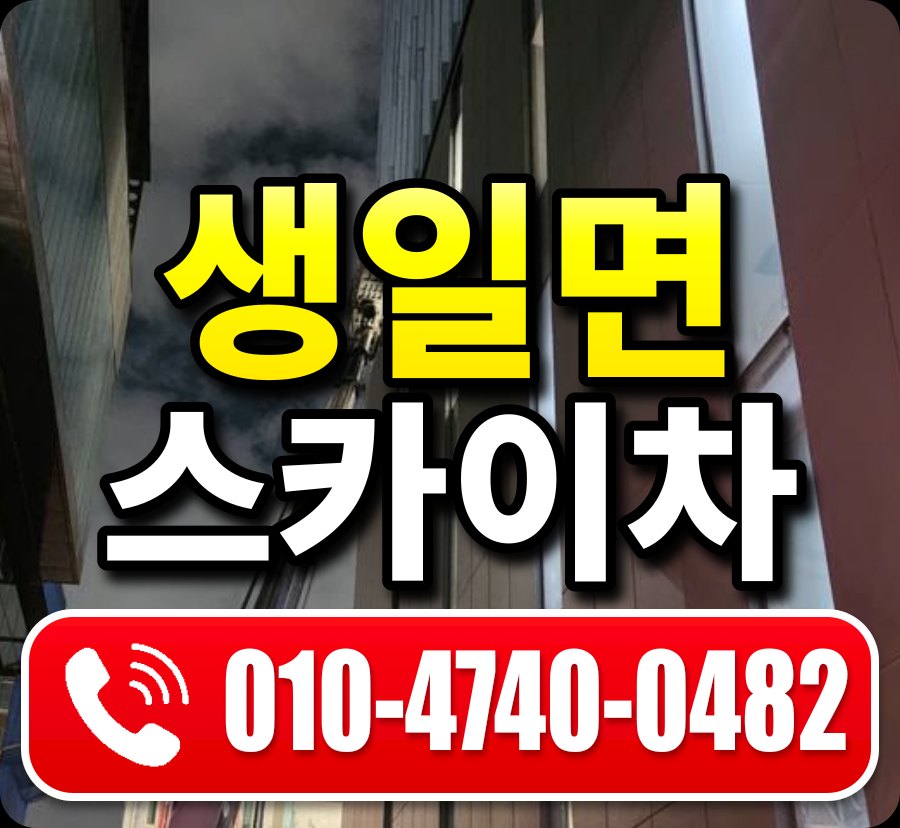 생일면 스카이차 010-4740-0482