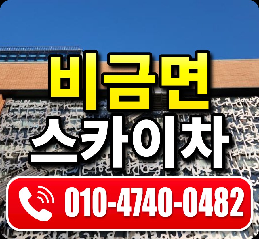 비금면 스카이차 010-4740-0482