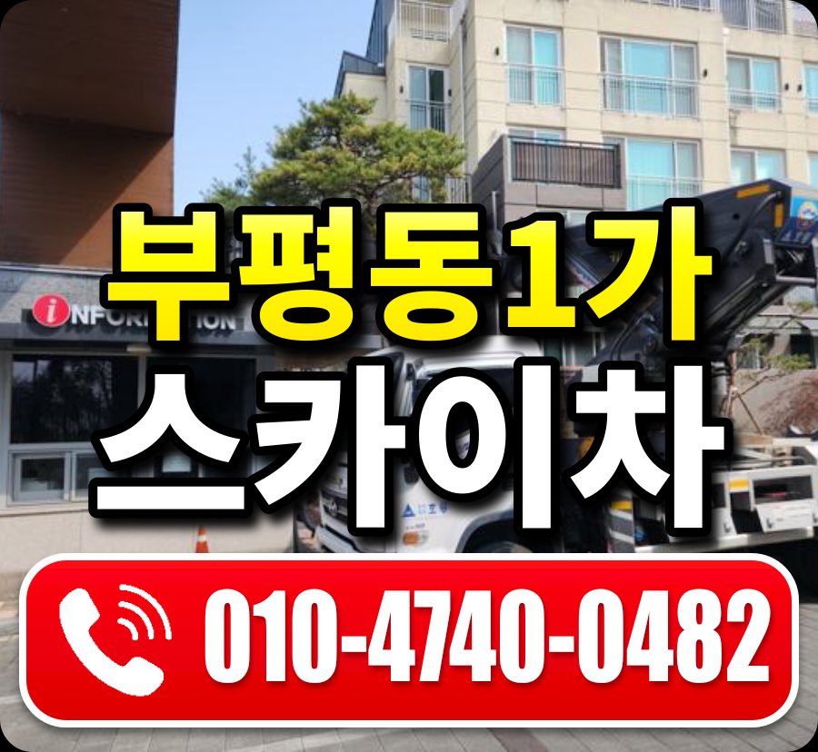 부평동1가 스카이차 010-4740-0482