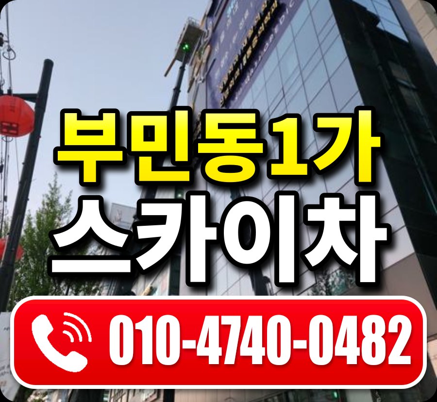 부민동1가 스카이차 010-4740-0482