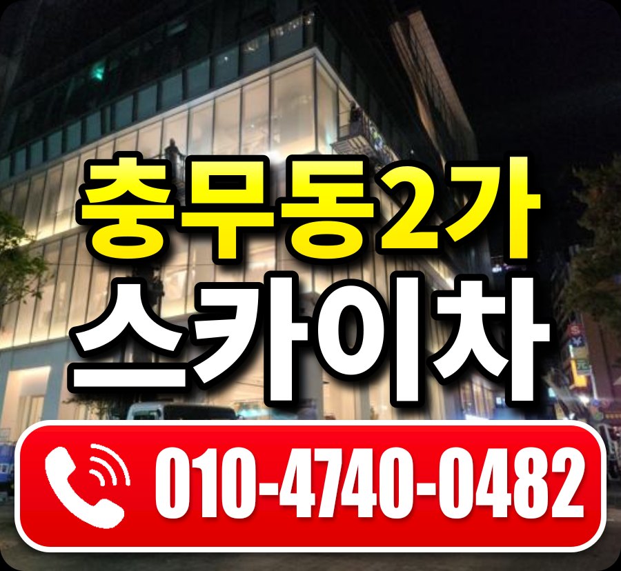 충무동2가 스카이차 010-4740-0482