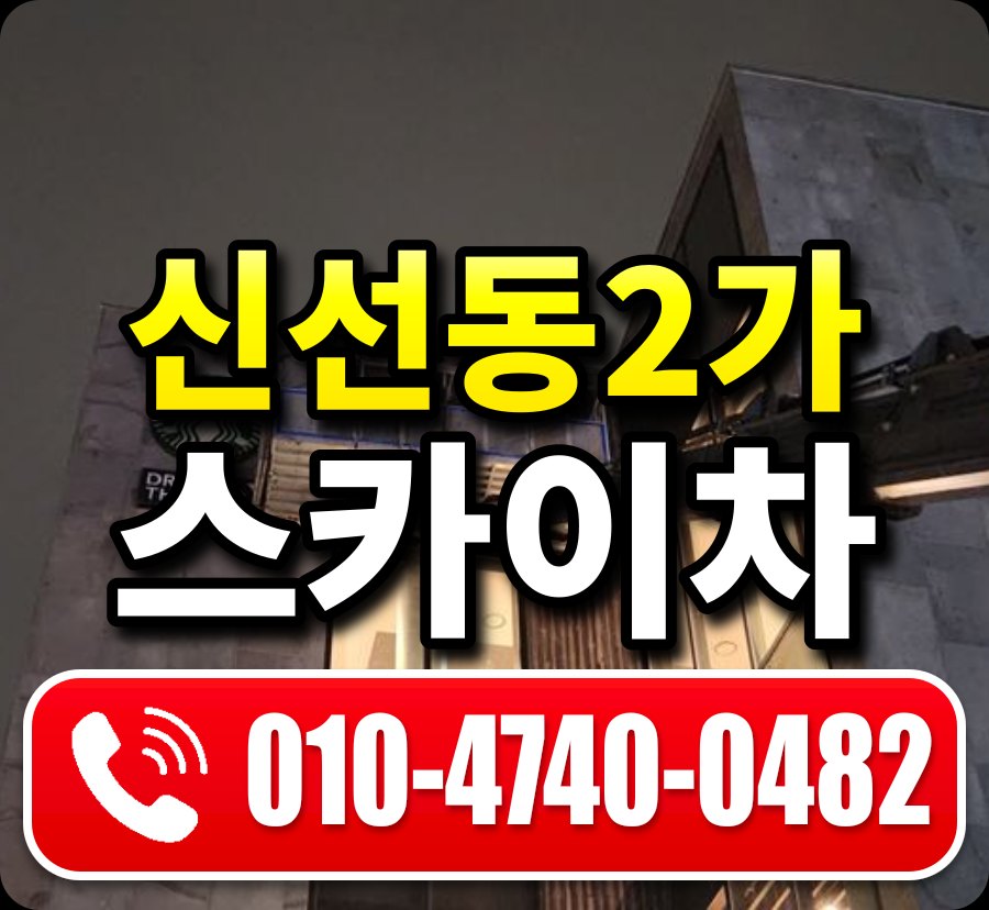 신선동2가 스카이차 010-4740-0482