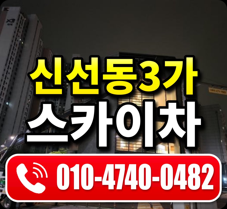 신선동3가 스카이차 010-4740-0482