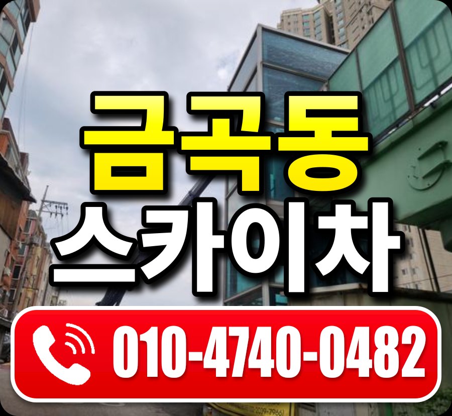 금곡동 스카이차 010-4740-0482