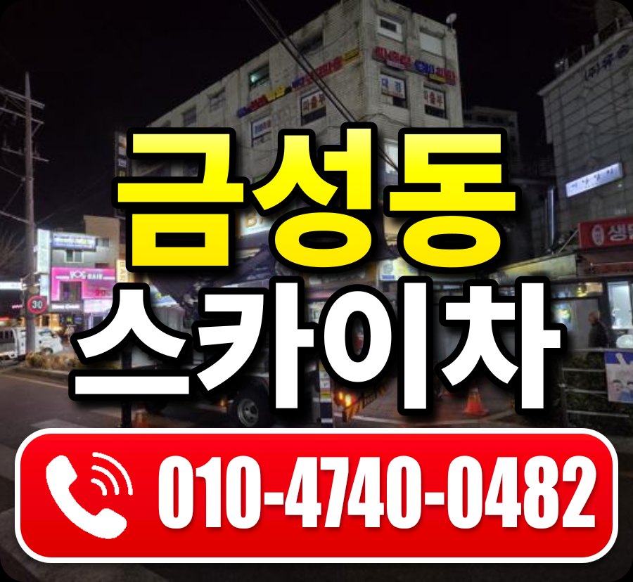 금성동 스카이차 010-4740-0482