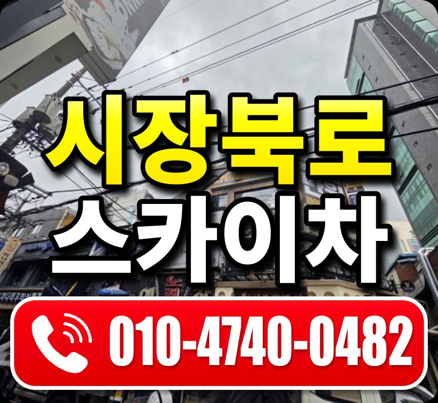 시장북로 스카이차 010-4740-0482
