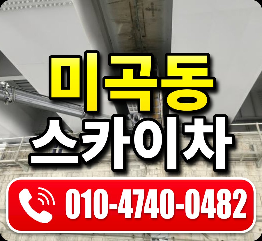 미곡동 스카이차 010-4740-0482