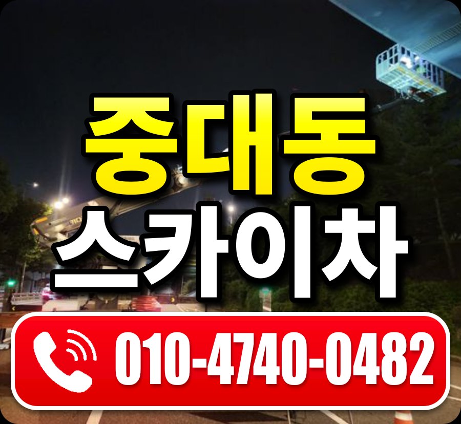 중대동 스카이차 010-4740-0482