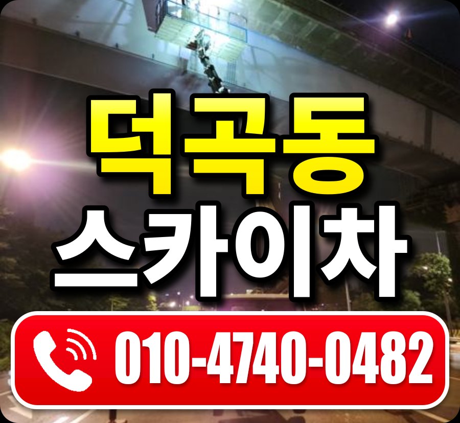 덕곡동 스카이차 010-4740-0482