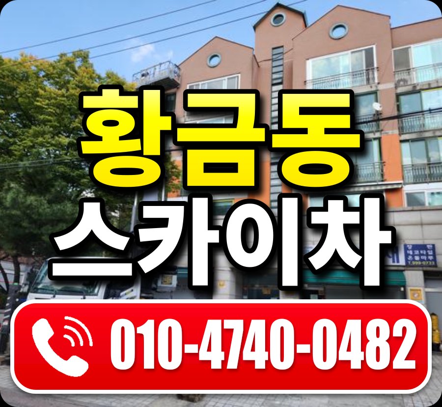황금동 스카이차 010-4740-0482