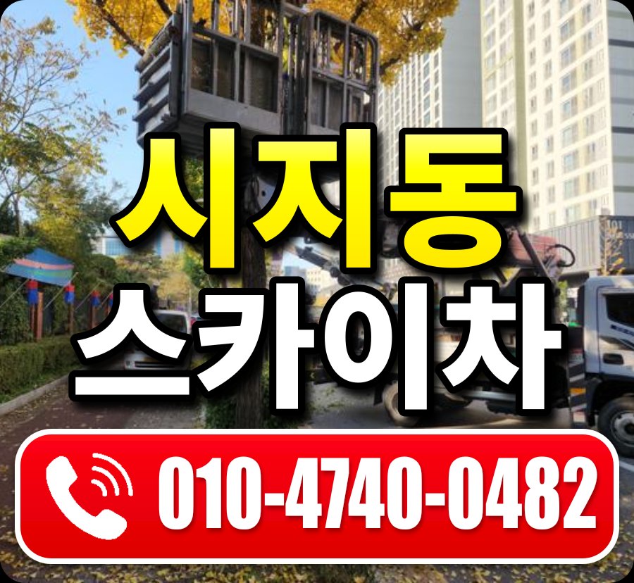시지동 스카이차 010-4740-0482