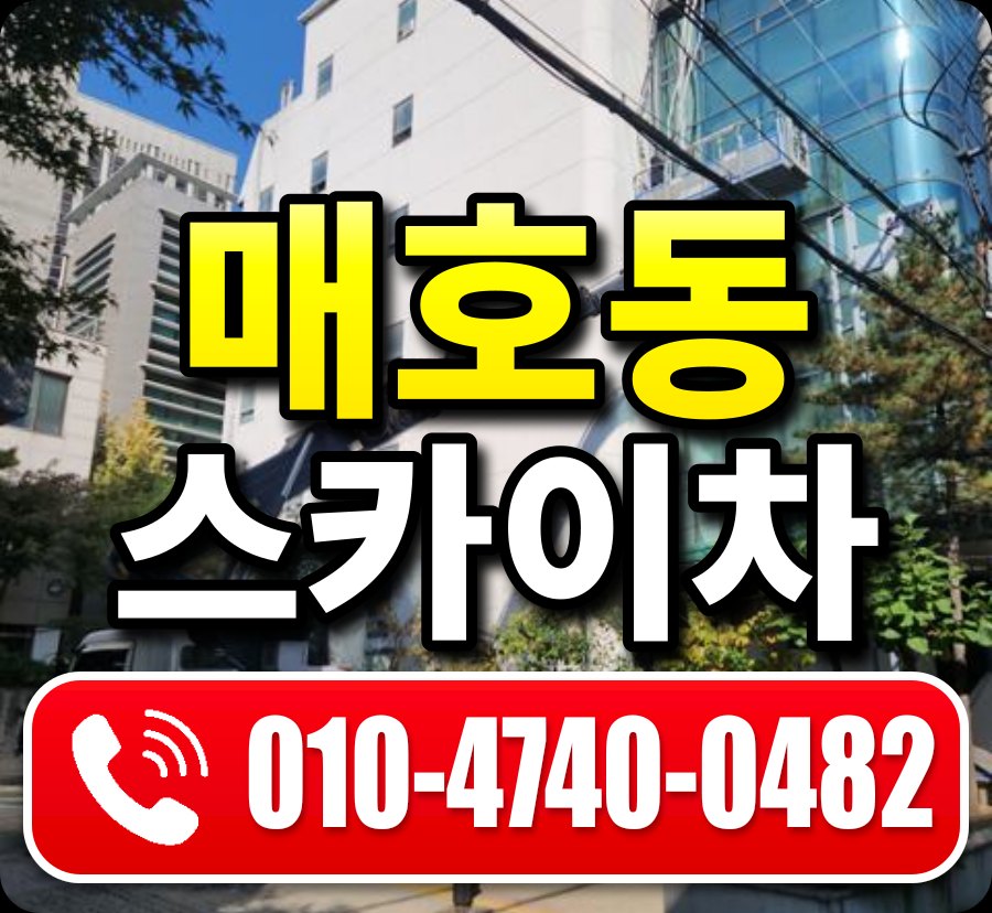 매호동 스카이차 010-4740-0482