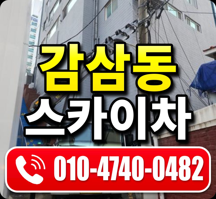 감삼동 스카이차 010-4740-0482