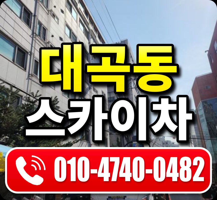 대곡동 스카이차 010-4740-0482