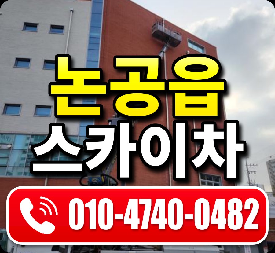 논공읍 스카이차 010-4740-0482