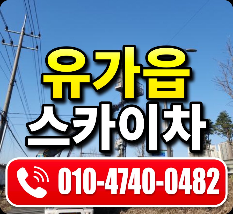 유가읍 스카이차 010-4740-0482