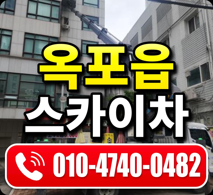 옥포읍 스카이차 010-4740-0482