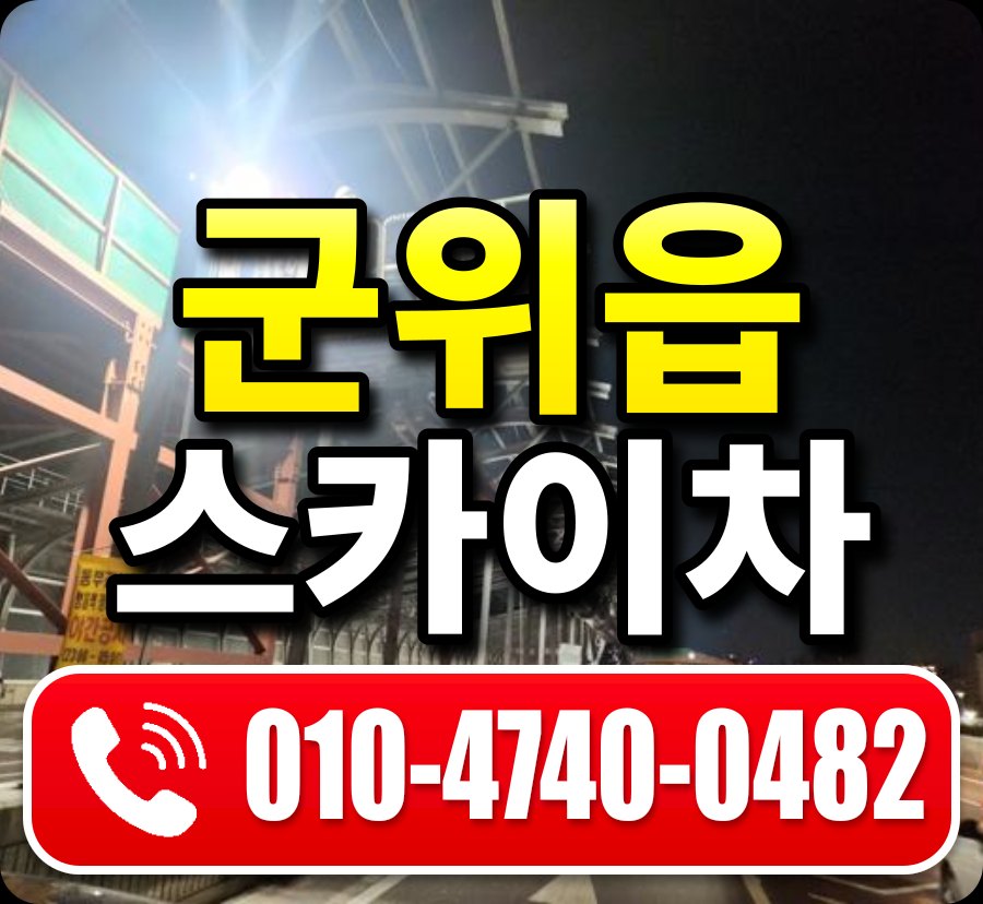 군위읍 스카이차 010-4740-0482