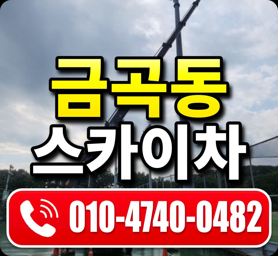 금곡동 스카이차 010-4740-0482