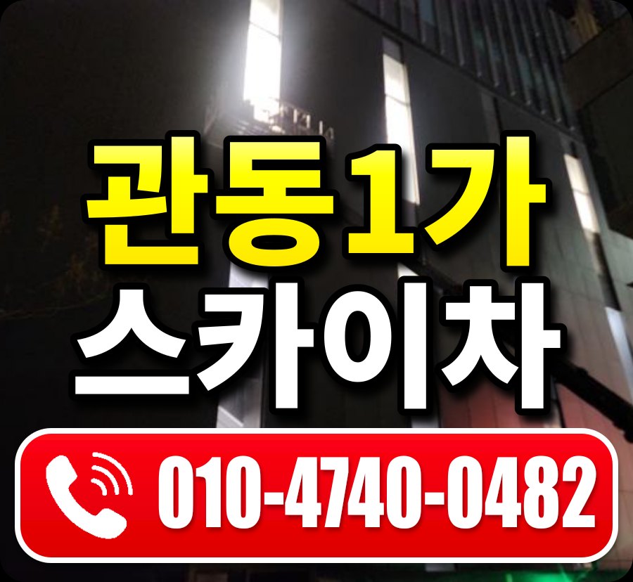 관동1가 스카이차 010-4740-0482