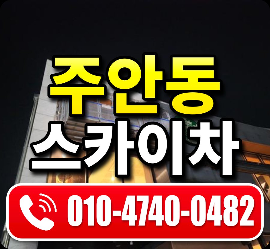 주안동 스카이차 010-4740-0482