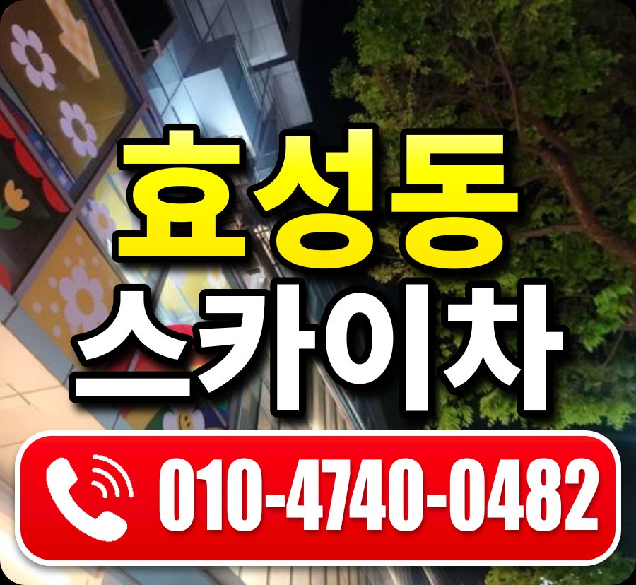 효성동 스카이차 010-4740-0482