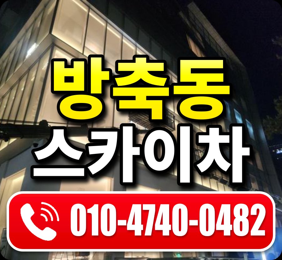 방축동 스카이차 010-4740-0482