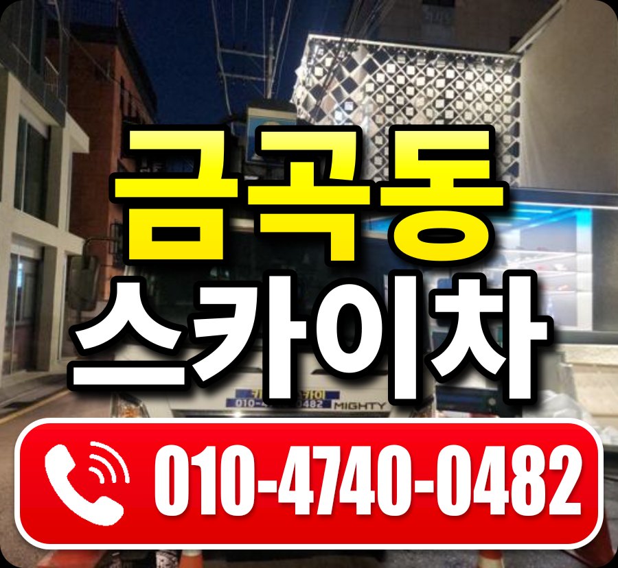 금곡동 스카이차 010-4740-0482