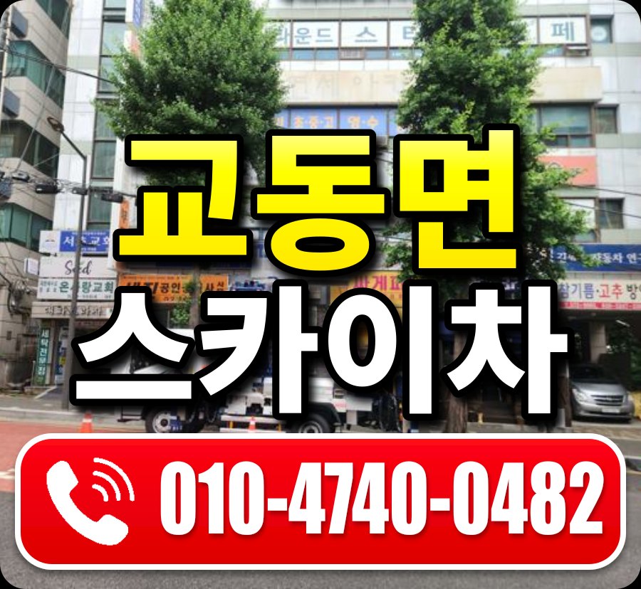 교동면 스카이차 010-4740-0482