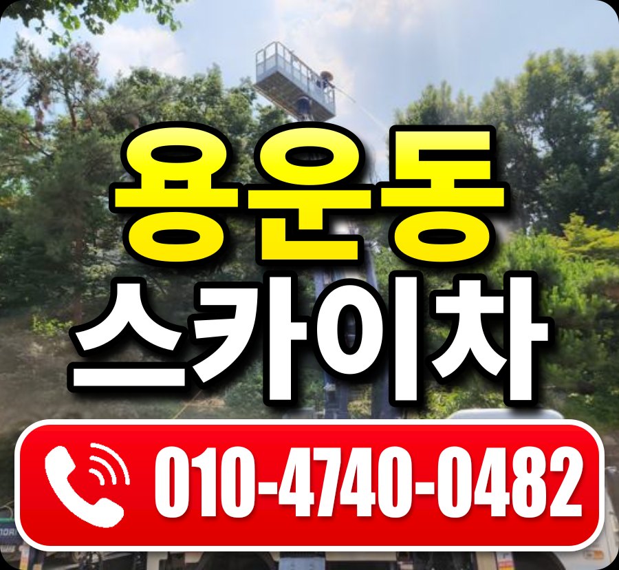 용운동 스카이차 010-4740-0482