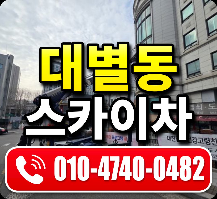 대별동 스카이차 010-4740-0482