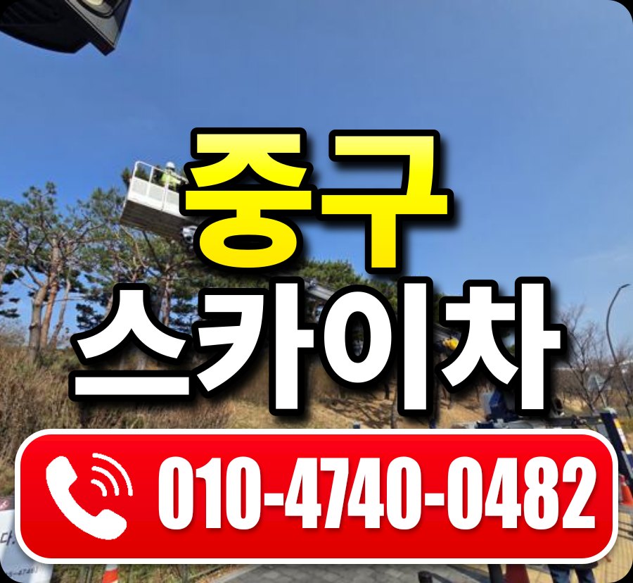 중구 스카이차 010-4740-0482