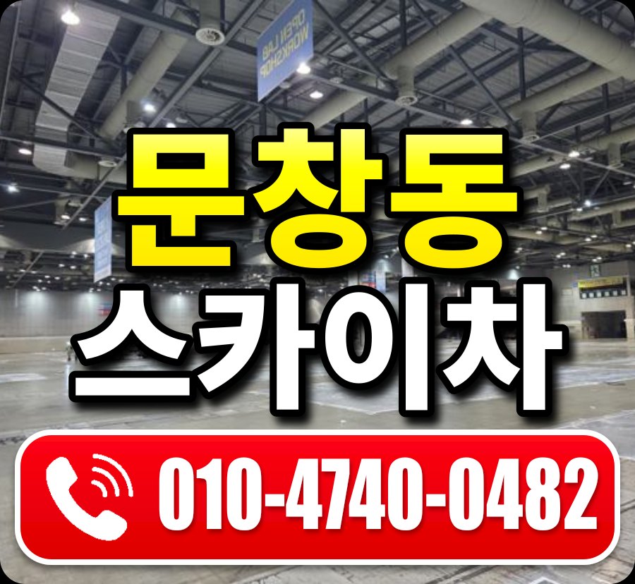 문창동 스카이차 010-4740-0482