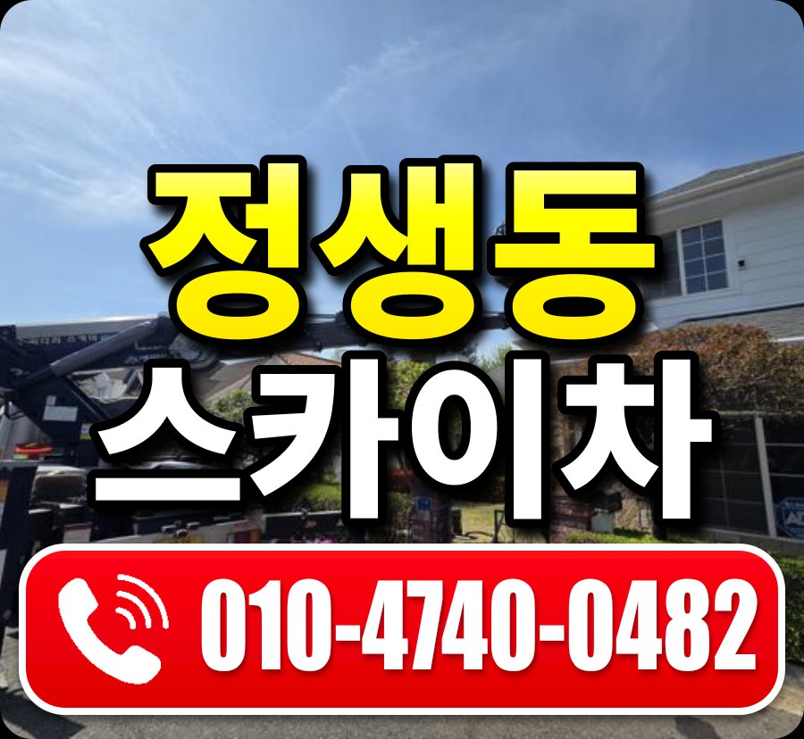 정생동 스카이차 010-4740-0482