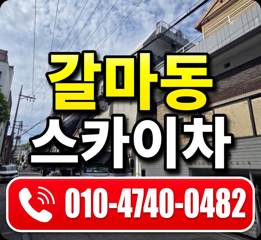 갈마동 스카이차 010-4740-0482