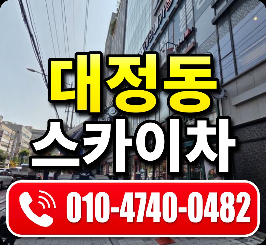 대정동 스카이차 010-4740-0482