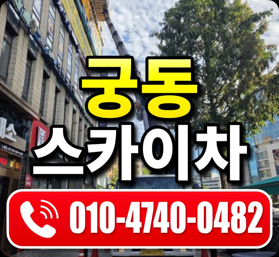 궁동 스카이차 010-4740-0482