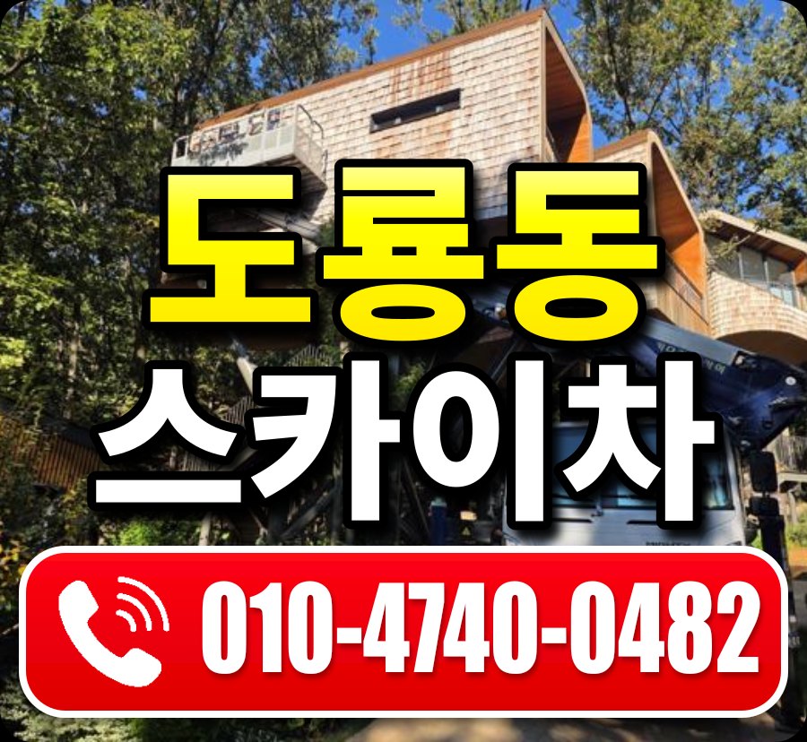 도룡동 스카이차 010-4740-0482